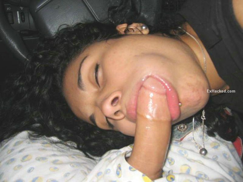 Amateur mexican swallow